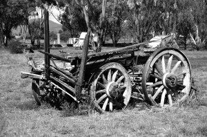 Always something to see