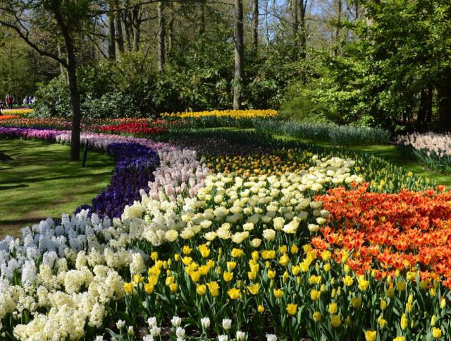 Amsterdam Kukenhof ASA_7547-medium