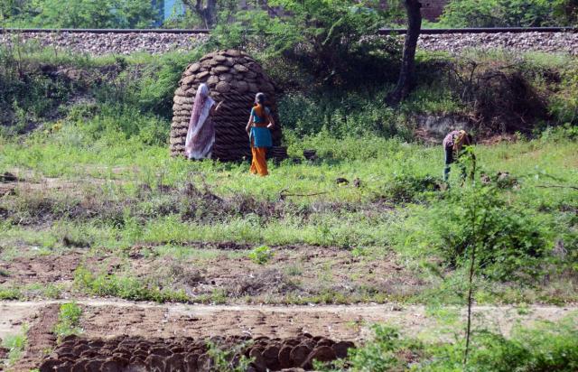 India Cow Pat Stack ASA_4877