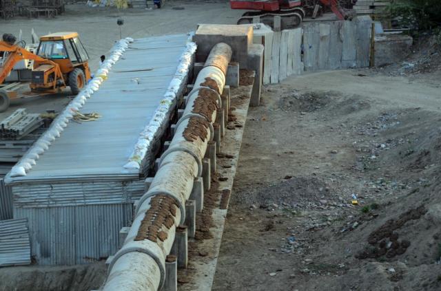 India Cow Pats ASA_4706