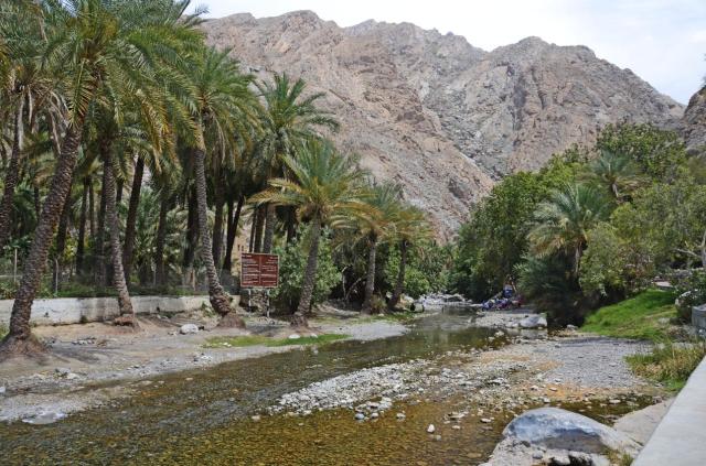 Muscat Oasis ASA_5325-medium