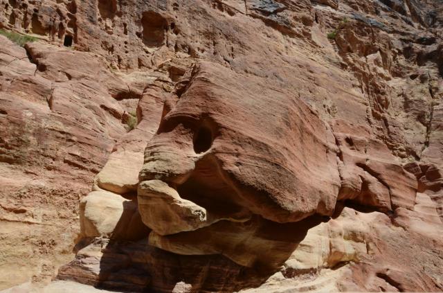 Petra Groper ASA_5960-medium