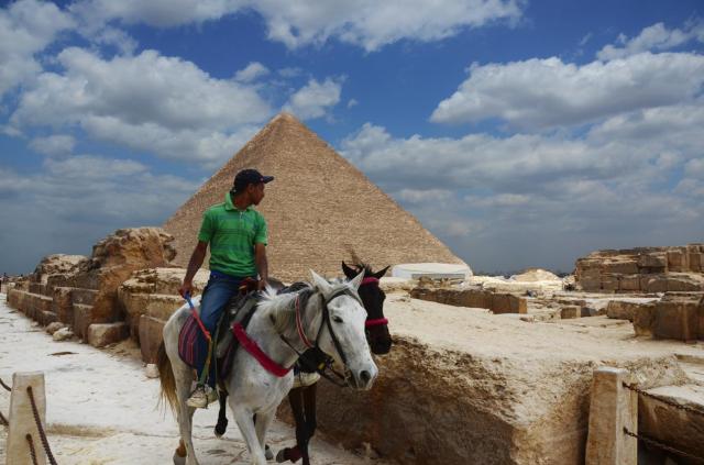 Cairo HorsesASA_6226-medium