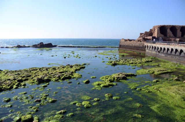 Israel Limeston Grotto ASA_6669-medium