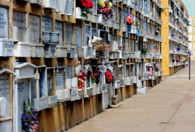 Cemetry Valparaiso JAN_0766-medium