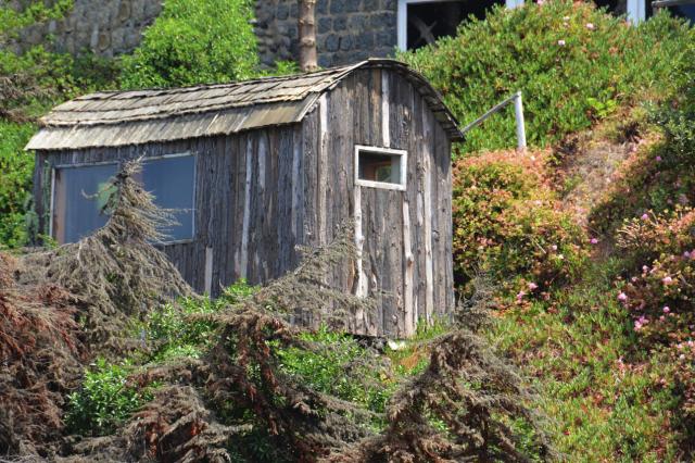 Isla Negra JAN_0740-medium