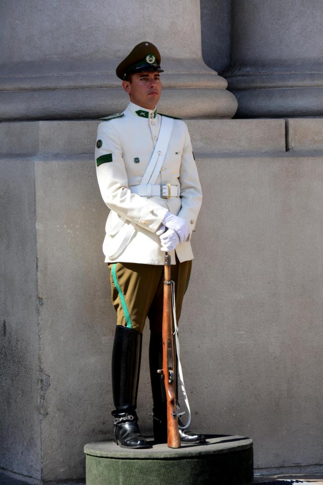 Palace Guard JAN_0707-medium