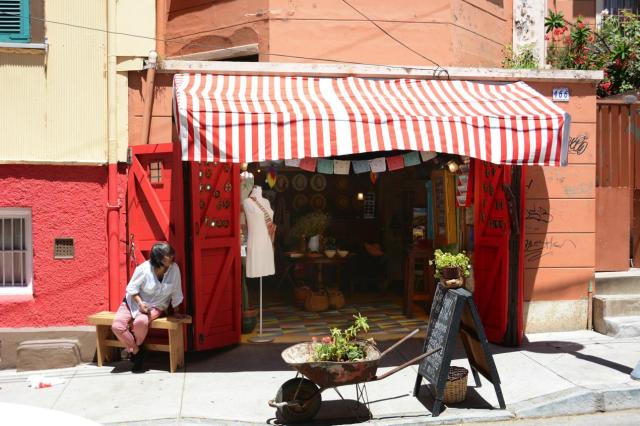 Valparaiso JAN_0848-medium