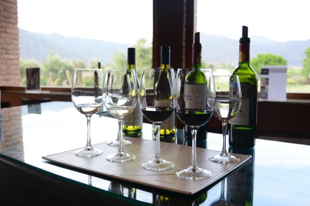 Wine Tasting JAN_0733-medium