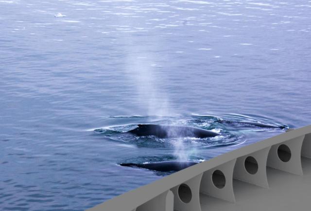 Ant3 JAN_2410-medium