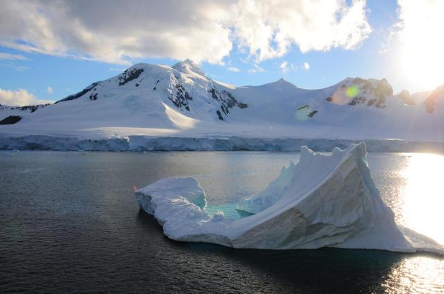 Ant3 JIM_9427-medium