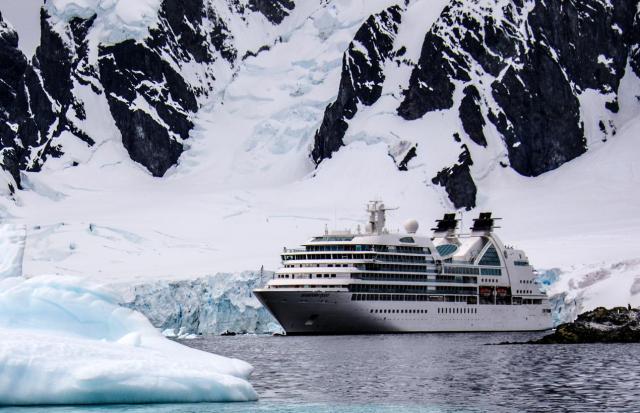 Ant4 JAN_2506-medium