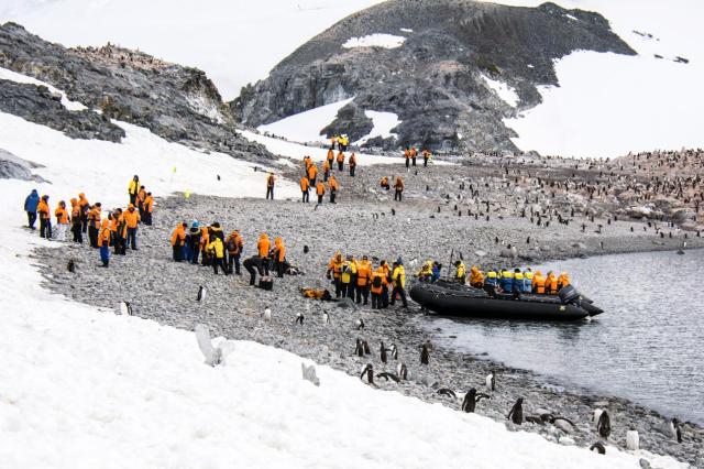 Zodiac Landing at Penguin Colony