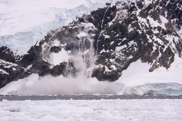 Ant5 JAN_2686-medium