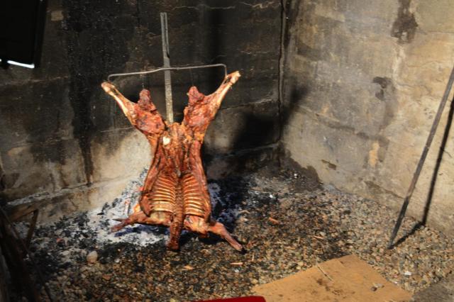 Puerto Chacabuco Lamb JAN_1108-medium