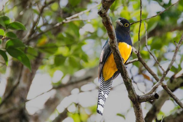 Manaus MAR_4898-medium