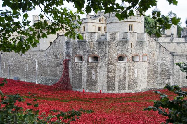 London Tower 1 DSC_0056-medium