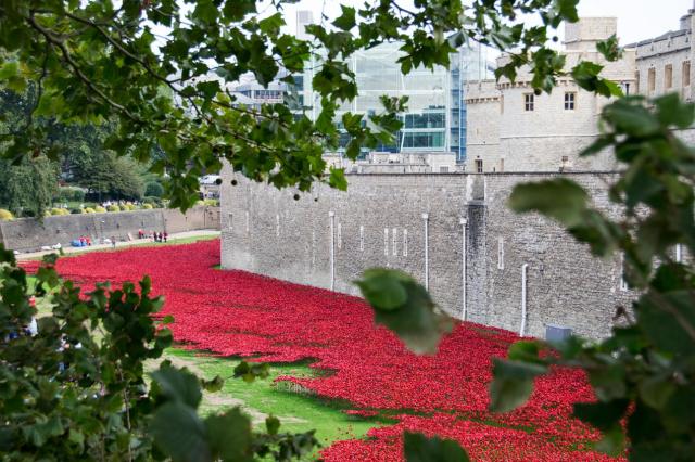 London Tower 2 DSC_0057-medium