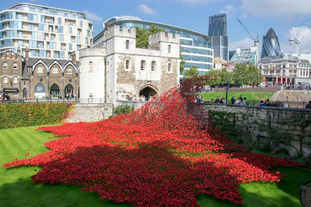 London Tower 4 DSC_0001-medium