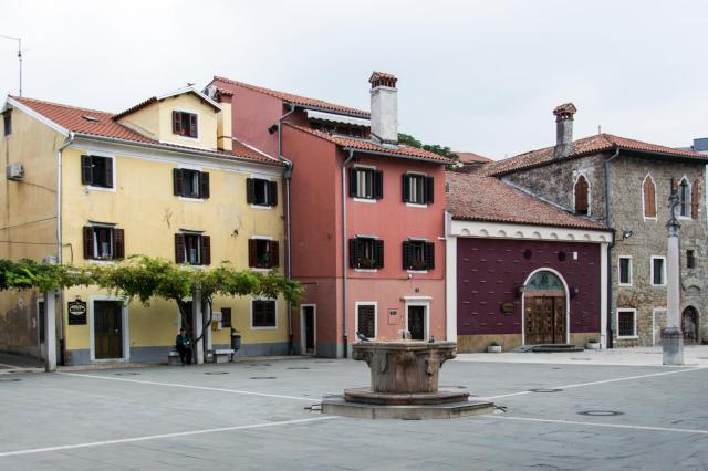 Koper DSC_1157-medium