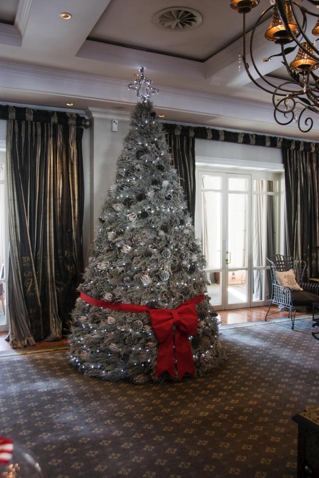 Cape Town DSC_1490-medium