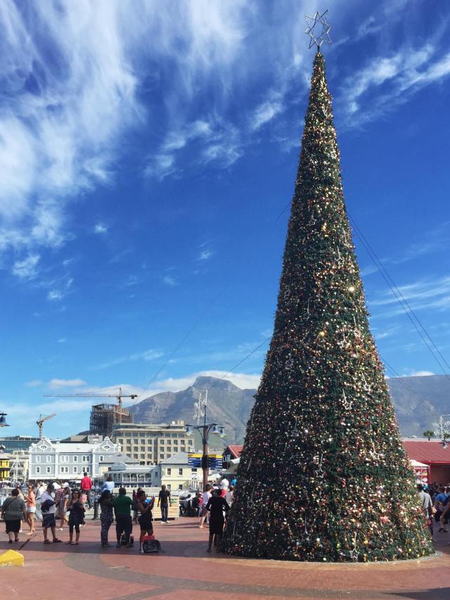 Cape Town IMG_3667-medium