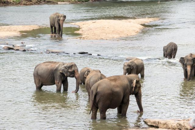 Colombo DSC_1722-medium