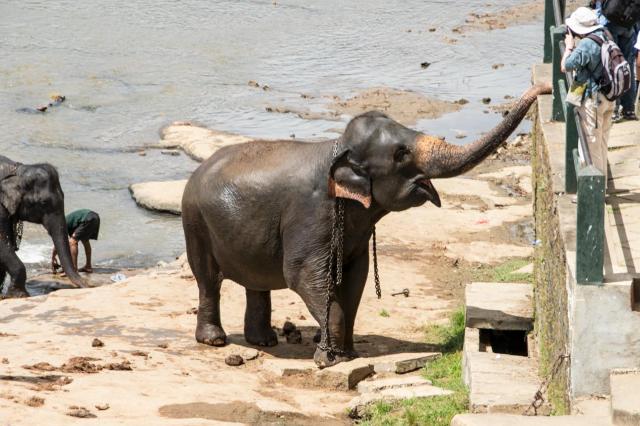 Colombo DSC_1739-medium