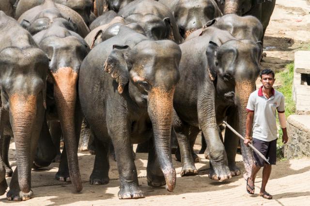 Colombo DSC_1743-medium