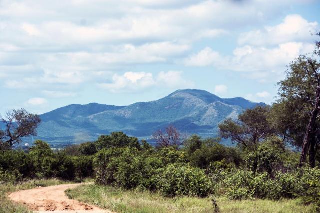 Kruger ZAR_7224-medium