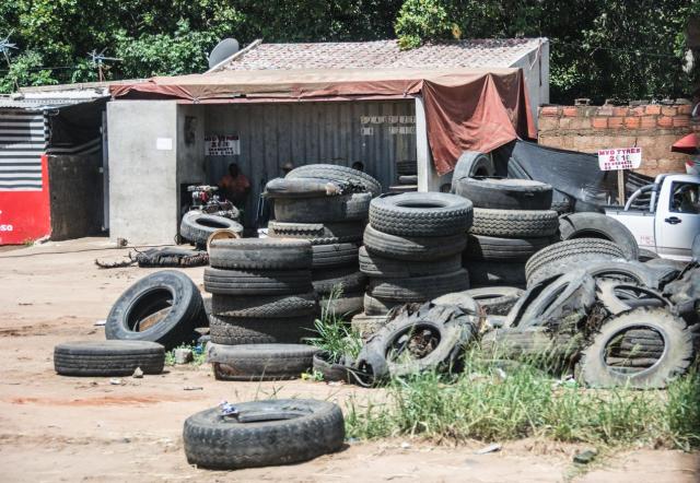 Kruger ZAR_7244-medium