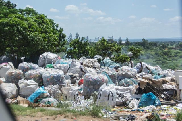 Kruger ZAR_7245-medium