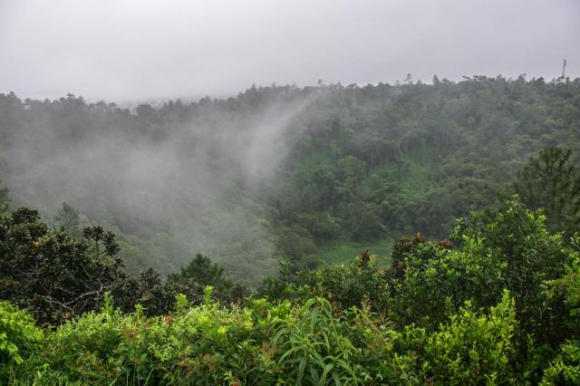 Mauritius DSC_1523-medium