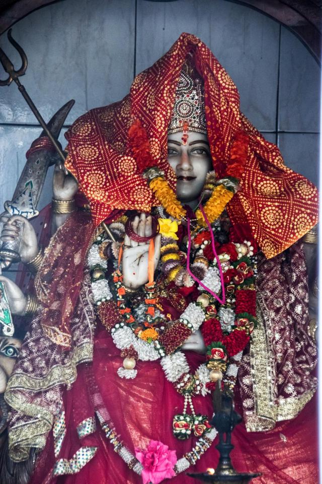 Mauritius DSC_1542-medium