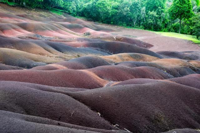 Mauritius DSC_1571-medium