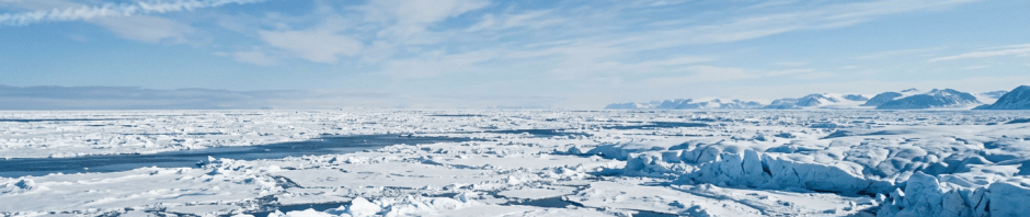 Passenger airplane labeled Arctic Sky flying over snowy Arctic ice with three polar bears walking on ice below